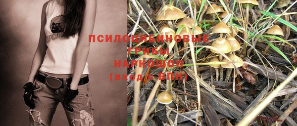 ПСИЛОЦИБИНОВЫЕ ГРИБЫ Липки