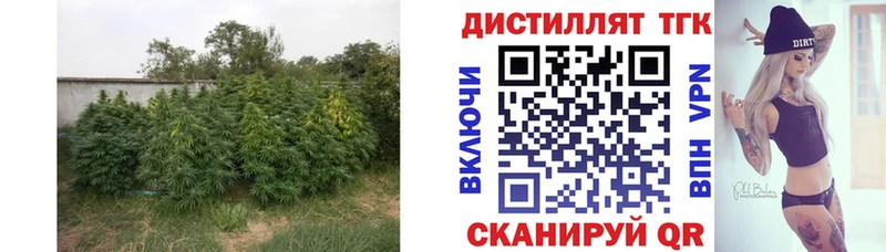 ТГК гашишное масло  Руза 
